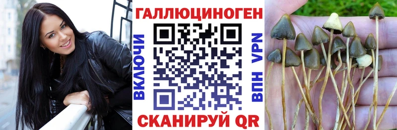 Псилоцибиновые грибы мухоморы купить наркотики цена Юхнов